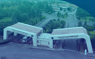 Responsive Image